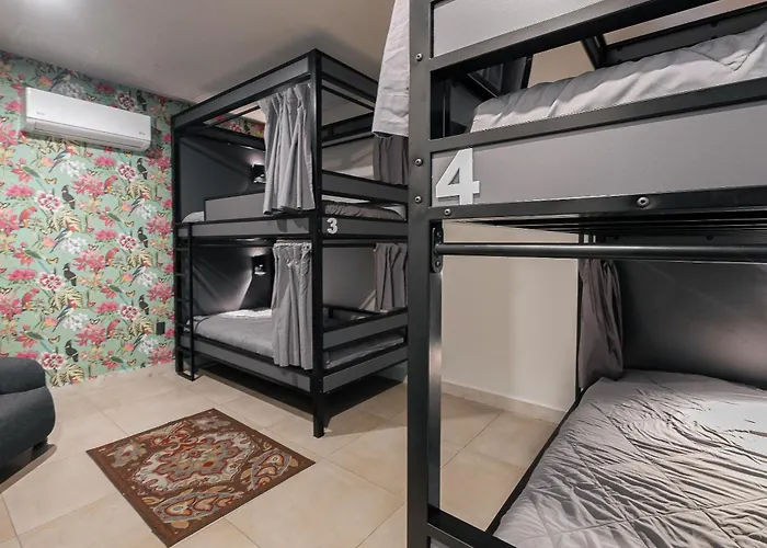 Hostal The Tropical Nest Womens Shared